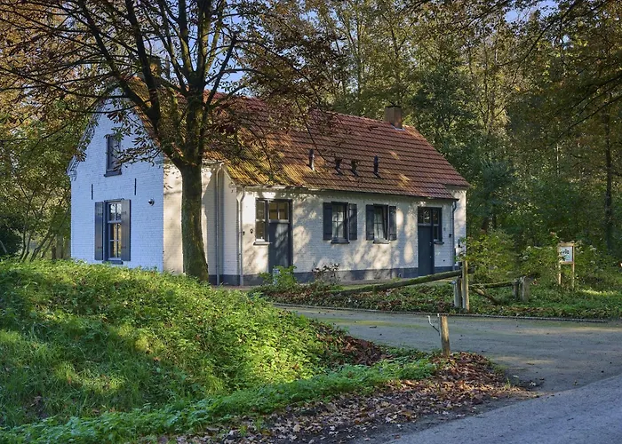 Bosbeertje 43